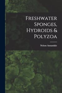 Freshwater Sponges, Hydroids & Polyzoa