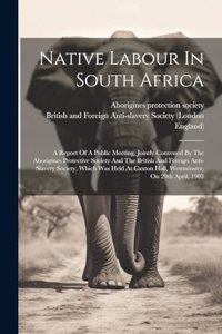 Native Labour In South Africa