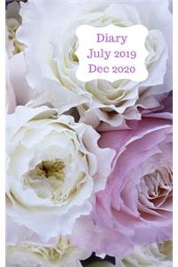 Diary July 2019 Dec 2020