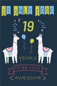 It Only Took 19 Year to be this Awesome