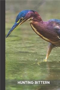 hunting bittern