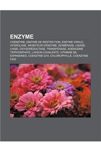 Enzyme: Coenzyme, Enzyme de Restriction, Enzyme Virale, Hydrolase, Inhibiteur D'Enzyme, Isomerase, Ligase, Lyase, Oxydoreducta