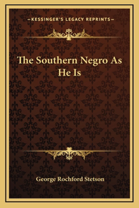 The Southern Negro As He Is