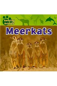 Meerkats