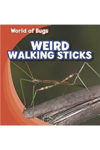 Weird Walking Sticks