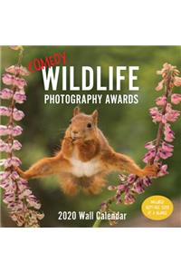 Comedy Wildlife 2020 Wall Calendar: (funny 2020 Wall Calendar, Funny Wall Calendar with Animals, Photo Wall Calendar)