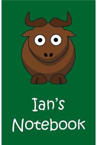 Ian's Notebook