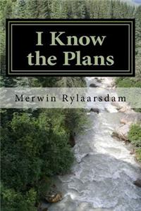 I Know the Plans