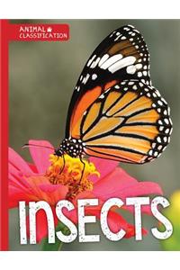 Insects