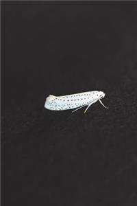 White Ermine Moth Journal