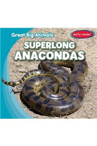 Superlong Anacondas