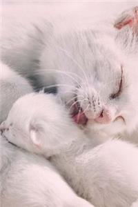 Sweet White Mother Cat and Tiny Kitten Pet Journal