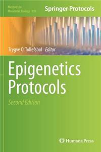 Epigenetics Protocols