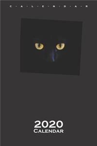 schwarze Katzenaugen Calendar 2020