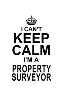 I Can't Keep Calm I'm A Property Surveyor