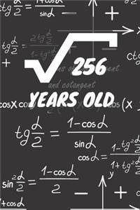256 Years Old