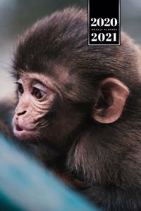 Monkey Ape Week Planner Weekly Organizer Calendar 2020 / 2021 - Aamazed