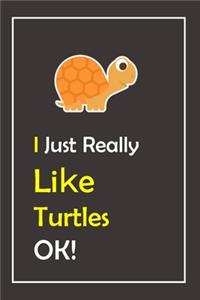 I Just Really Like Turtles, OK !
