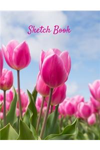 Sketch Book