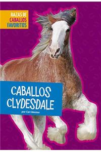 Caballos Clydesdale
