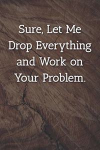 Sure, Let Me Drop Everything and Work on Your Problem. Notebook