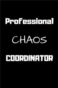Professional Chaos Coordinator