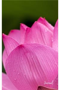 Lotus Flower Journal