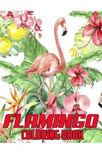 Flamingo Coloring Book