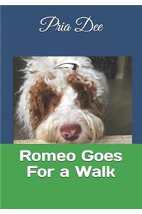 Romeo Goes For a Walk