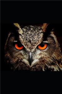 Owl Journal