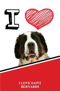 I Love Saint Bernards