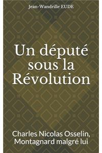 Un député sous la Révolution