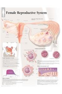 Understanding Nutrition Chart