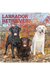 Labrador Retrievers 2021 Square Foil