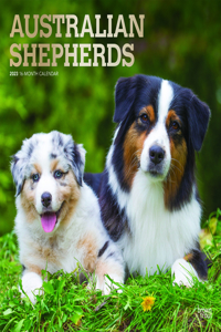 Australian Shepherds 2023 Square Foil