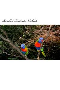 Rainbow Lorikeets Notebook
