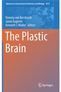 Plastic Brain