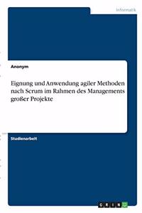 Eignung und Anwendung agiler Methoden nach Scrum im Rahmen des Managements großer Projekte