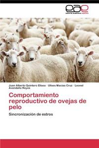 Comportamiento reproductivo de ovejas de pelo