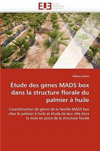 Étude Des Gènes Mads Box Dans La Structure Florale Du Palmier À Huile