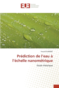 Prédiction de l'eau à l'échelle nanométrique