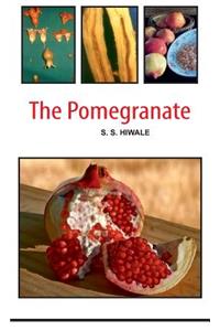 The Pomegranate