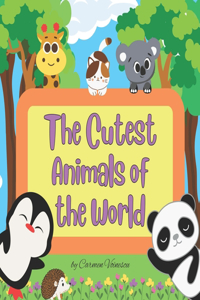 Cutest Animals of the World