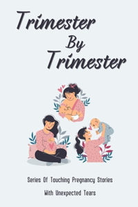 Trimester By Trimester - Series Of Touching Pregnancy Stories With Unexpected Tears