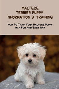 Maltese Terrier Puppy Information & Training