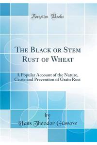 The Black or Stem Rust of Wheat: A Popular Account of the Nature, Cause and Prevention of Grain Rust (Classic Reprint)