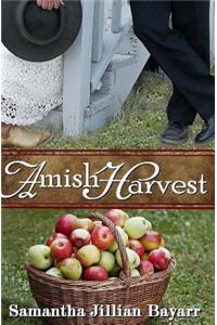 Amish Harvest