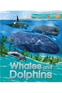 Whales and Dolphins