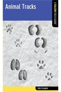 Animal Tracks