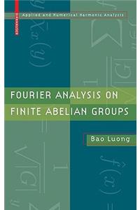 Fourier Analysis on Finite Abelian Groups